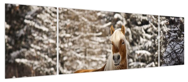Obraz - Koń w zimowym krajobrazie (170x50 cm)