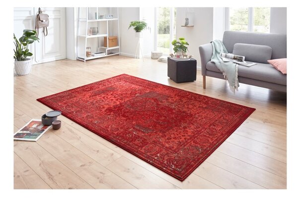 Czerwony dywan Hanse Home Celebration Plume, 80x150 cm