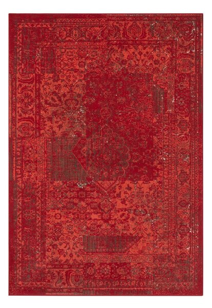 Czerwony dywan Hanse Home Celebration Plume, 160x230 cm