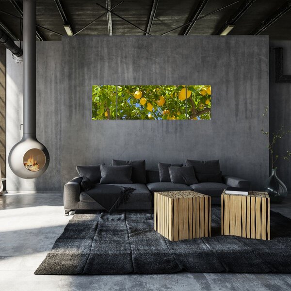 Obraz - Drzewo cytrynowe (170x50 cm)
