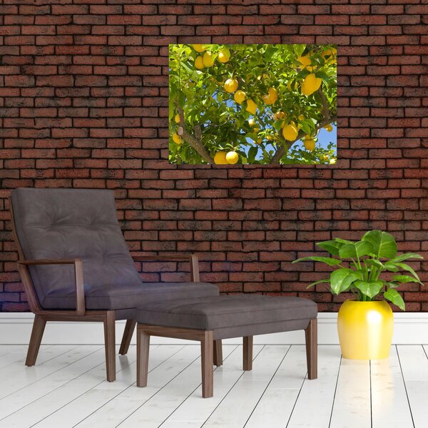 Obraz - Drzewo cytrynowe (70x50 cm)