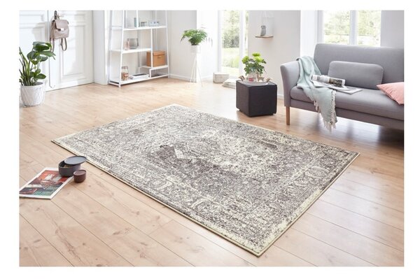 Szaro-kremowy dywan Hanse Home Celebration Plume, 120x170 cm