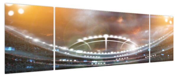 Obraz - Stadion (170x50 cm)