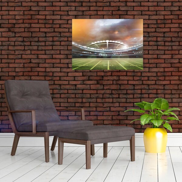 Obraz - Stadion (70x50 cm)