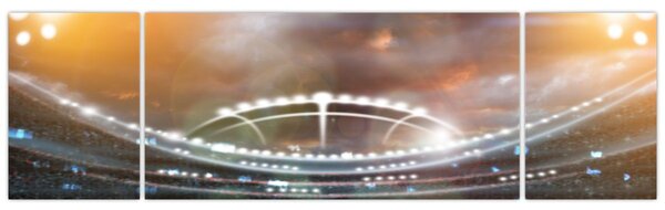 Obraz - Stadion (170x50 cm)