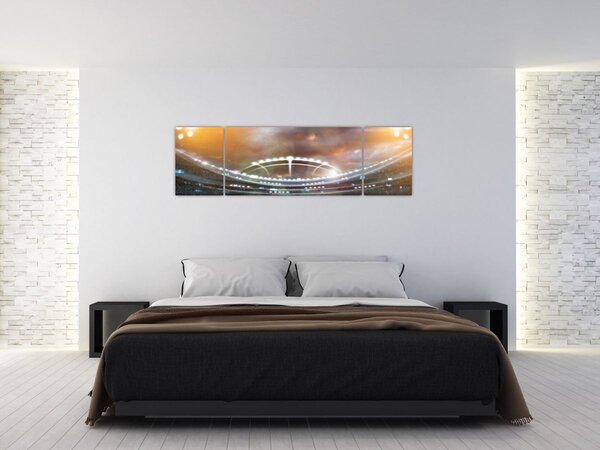 Obraz - Stadion (170x50 cm)