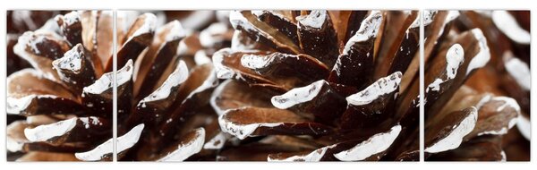 Obraz - Pączki (170x50 cm)