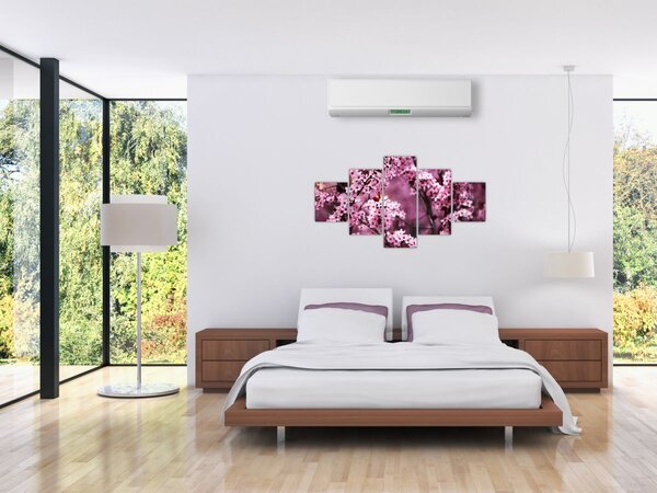 Obraz - Różowa sakura (125x70 cm)