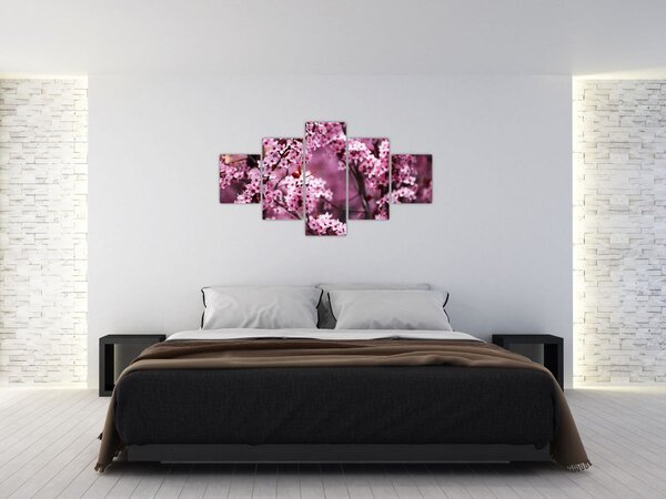 Obraz - Różowa sakura (125x70 cm)