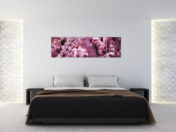 Obraz - Różowa sakura (170x50 cm)