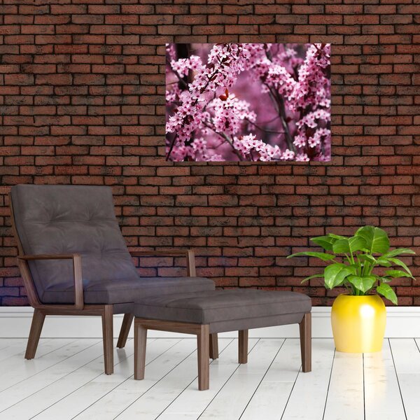 Obraz - Różowa sakura (70x50 cm)