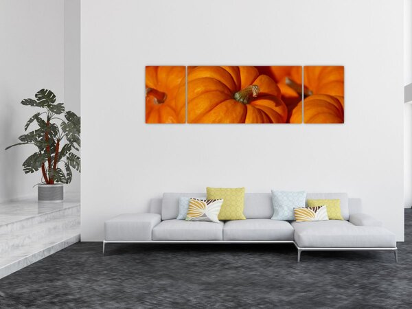 Obraz - Wspaniałe dynie (170x50 cm)