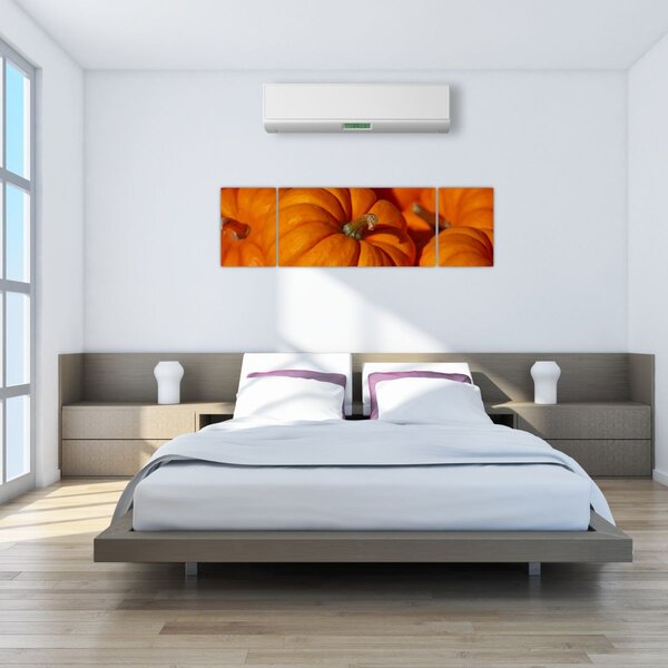 Obraz - Wspaniałe dynie (170x50 cm)