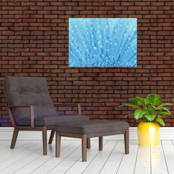 Obraz - Ujęcie makro kwiatu (70x50 cm)