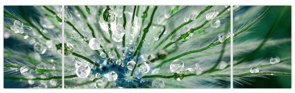 Obraz - Makro zdjęcie kwiatu (170x50 cm)
