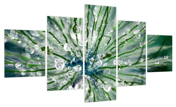 Obraz - Makro zdjęcie kwiatu (125x70 cm)
