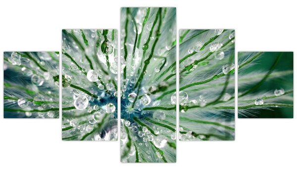 Obraz - Makro zdjęcie kwiatu (125x70 cm)