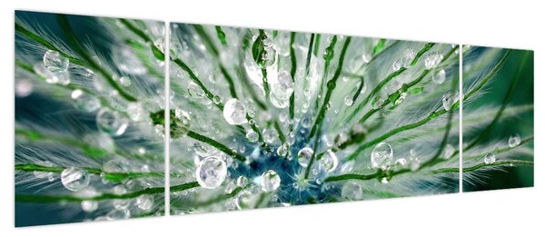 Obraz - Makro zdjęcie kwiatu (170x50 cm)