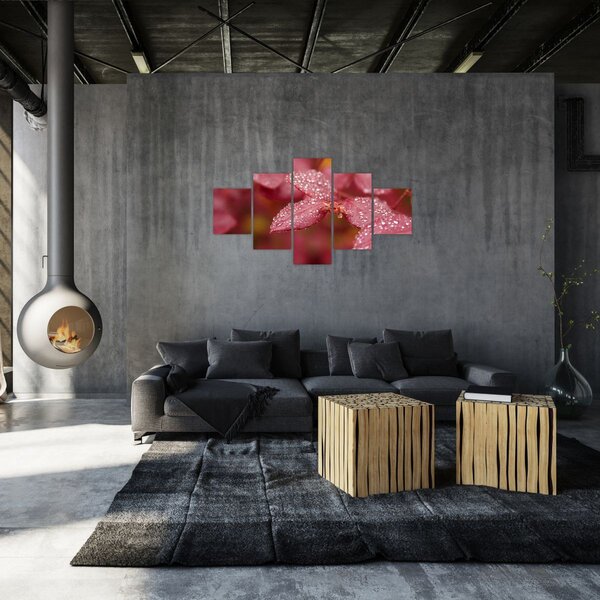 Obraz - Obraz biletu w trybie makro (125x70 cm)