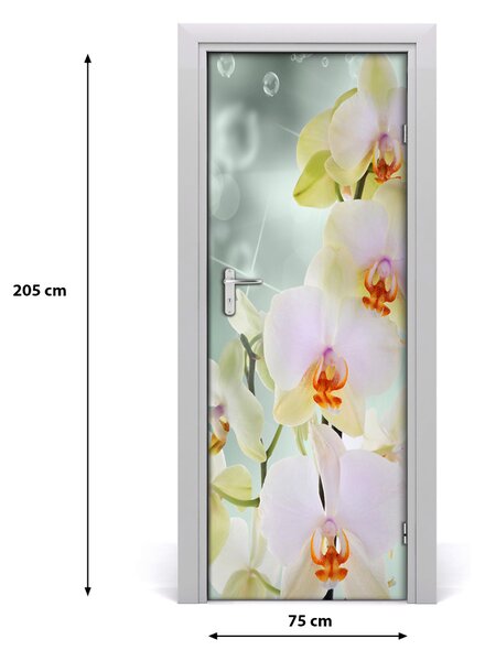 Naklejka samoprzylepna okleina na drzwi Orchidea