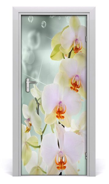 Naklejka samoprzylepna okleina na drzwi Orchidea