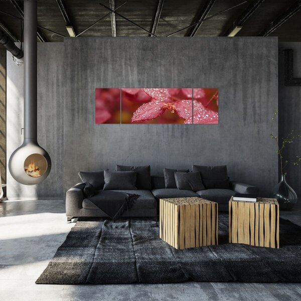 Obraz - Obraz biletu w trybie makro (170x50 cm)