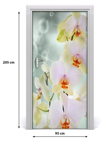 Naklejka samoprzylepna okleina na drzwi Orchidea