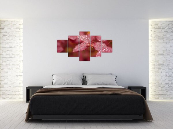 Obraz - Obraz biletu w trybie makro (125x70 cm)