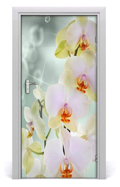Naklejka samoprzylepna okleina na drzwi Orchidea
