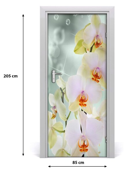 Naklejka samoprzylepna okleina na drzwi Orchidea