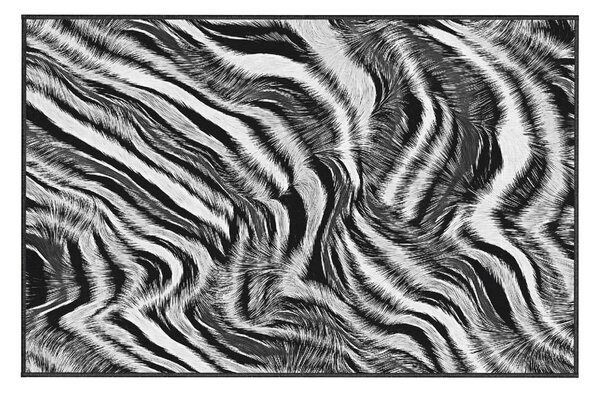 Dywan Oyo home Zebra, 80x140 cm