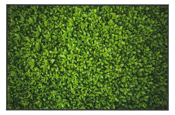 Zielony dywan Oyo home Ivy, 100x140 cm