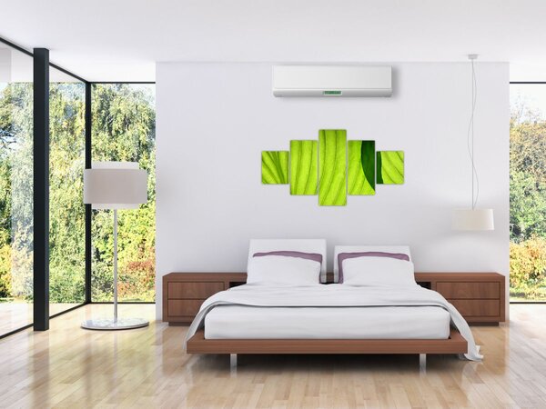 Obraz - Szczegół zielonego liścia (125x70 cm)