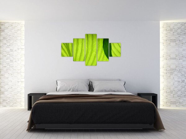Obraz - Szczegół zielonego liścia (125x70 cm)