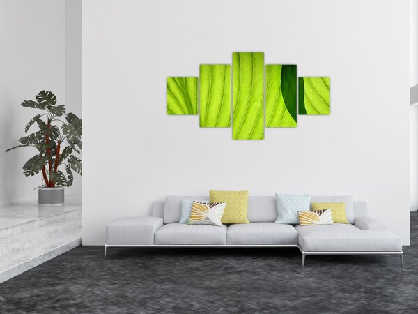 Obraz - Szczegół zielonego liścia (125x70 cm)