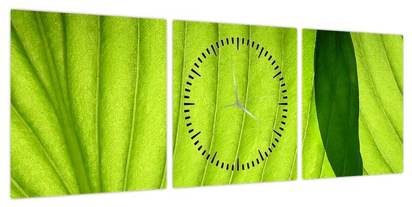 Obraz - Szczegół zielonego liścia (z zegarem) (90x30 cm)
