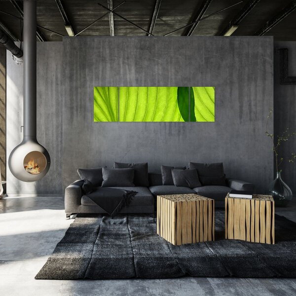 Obraz - Szczegół zielonego liścia (170x50 cm)