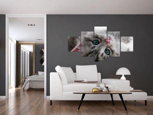 Obraz - Kot z zielonymi oczami (125x70 cm)