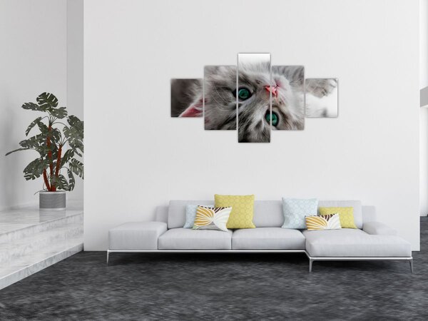 Obraz - Kot z zielonymi oczami (125x70 cm)