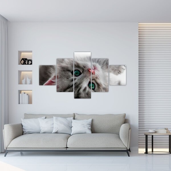 Obraz - Kot z zielonymi oczami (125x70 cm)
