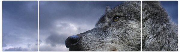 Obraz - Głowa wilka (170x50 cm)