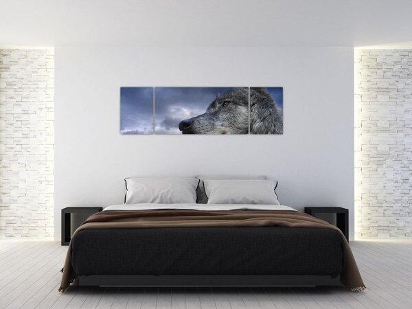 Obraz - Głowa wilka (170x50 cm)