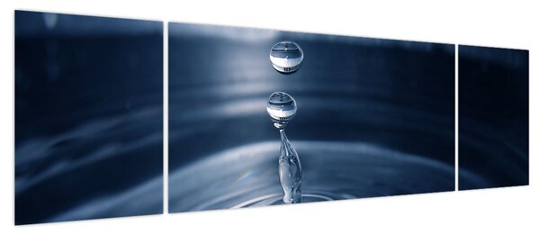 Obraz - Krople (170x50 cm)