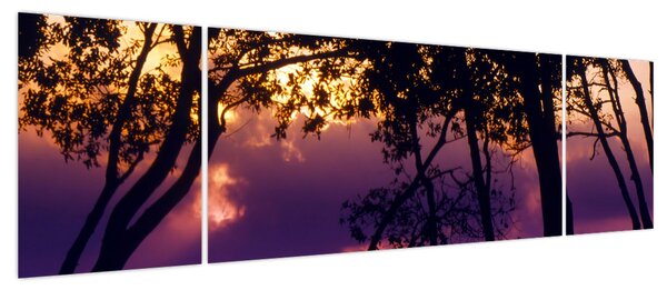 Obraz - Drzewa o zachodzie słońca (170x50 cm)