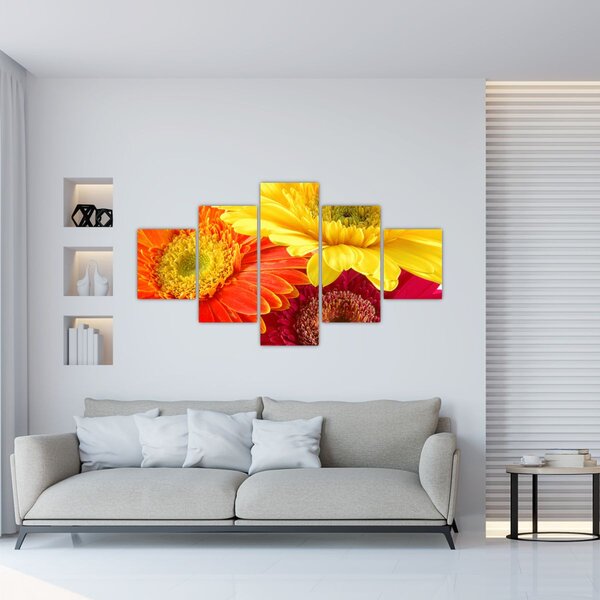 Obraz - Kwiaty Gerbery (125x70 cm)