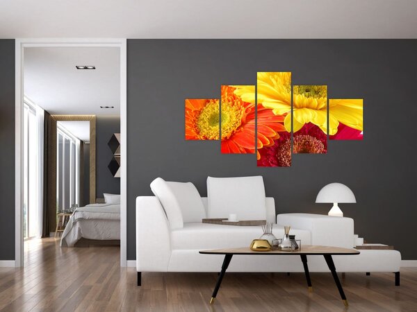 Obraz - Kwiaty Gerbery (125x70 cm)