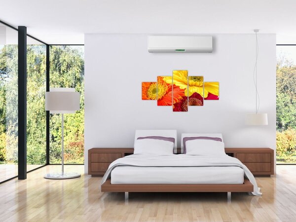 Obraz - Kwiaty Gerbery (125x70 cm)
