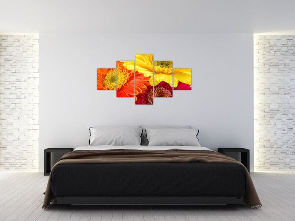 Obraz - Kwiaty Gerbery (125x70 cm)