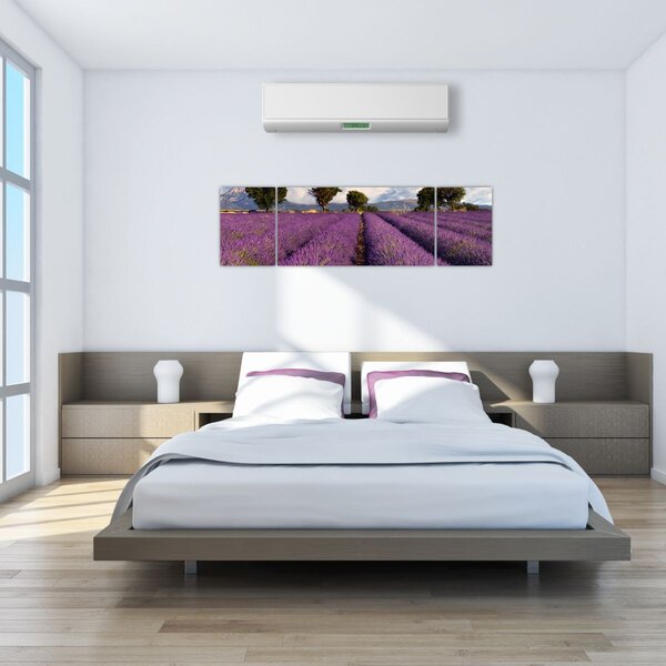 Obraz - Pole lawendy i góry (170x50 cm)