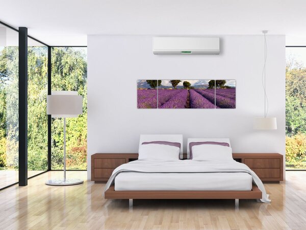 Obraz - Pole lawendy i góry (170x50 cm)